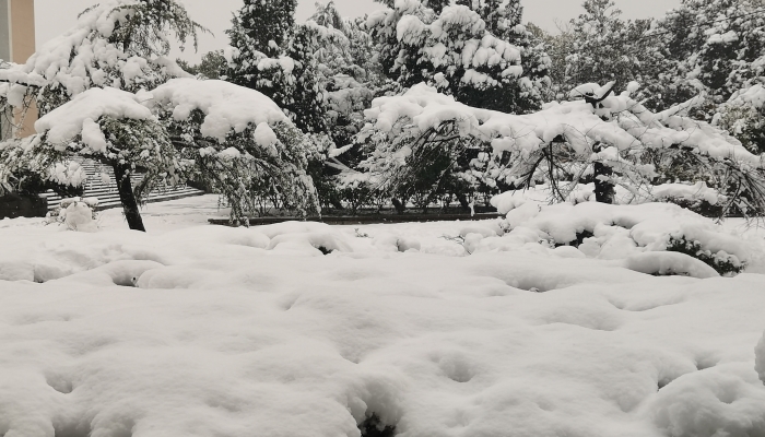 急措施有哪些 应对暴雪天气准备工作有哪些Long8国际平台登录入口暴雪天气路面应